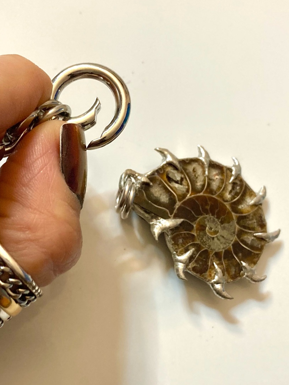 Genuine ammonite fossil shell with spikes on cuban chain choker necklace - Picture 6 of 15